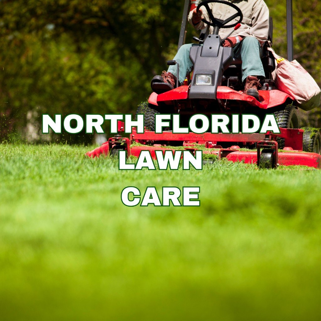 North Florida Lawn